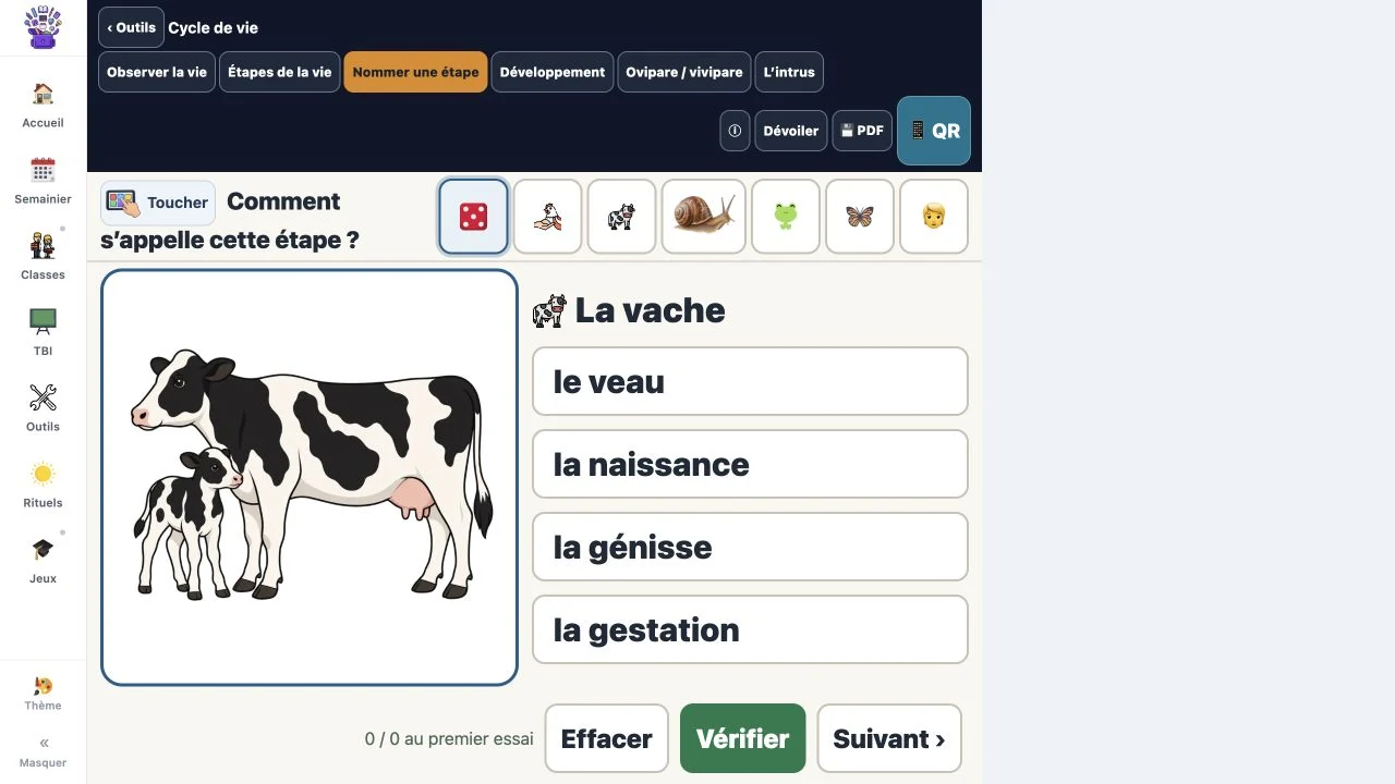 Le cycle de vie illustré dans la page active, avec les étapes à nommer.